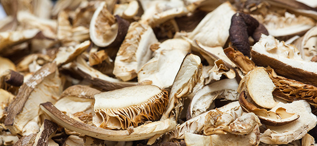 Im Dörrgerät getrocknete Pilze