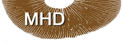 halber Sporenabdruck mit MHD Beschriftung