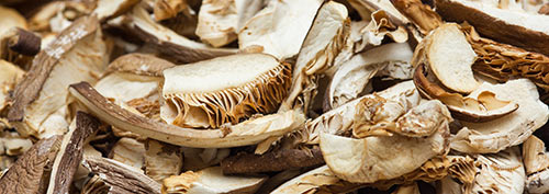 Getrocknete Pilze