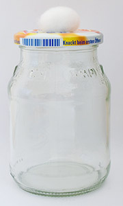 Ein Glas zur Herstellung von Körnerbrut